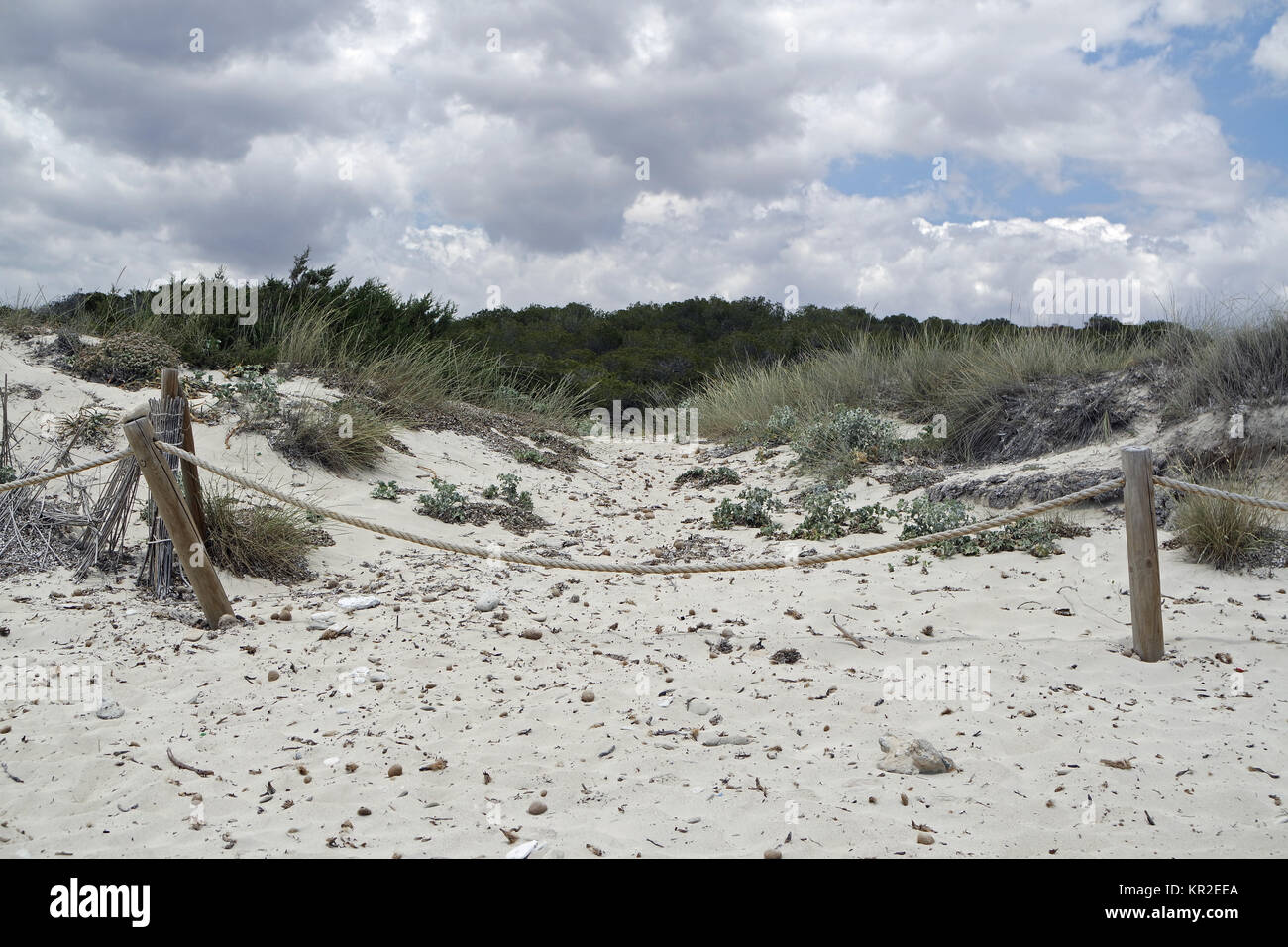 sand dunes on spanish beach Stock Photo Alamy