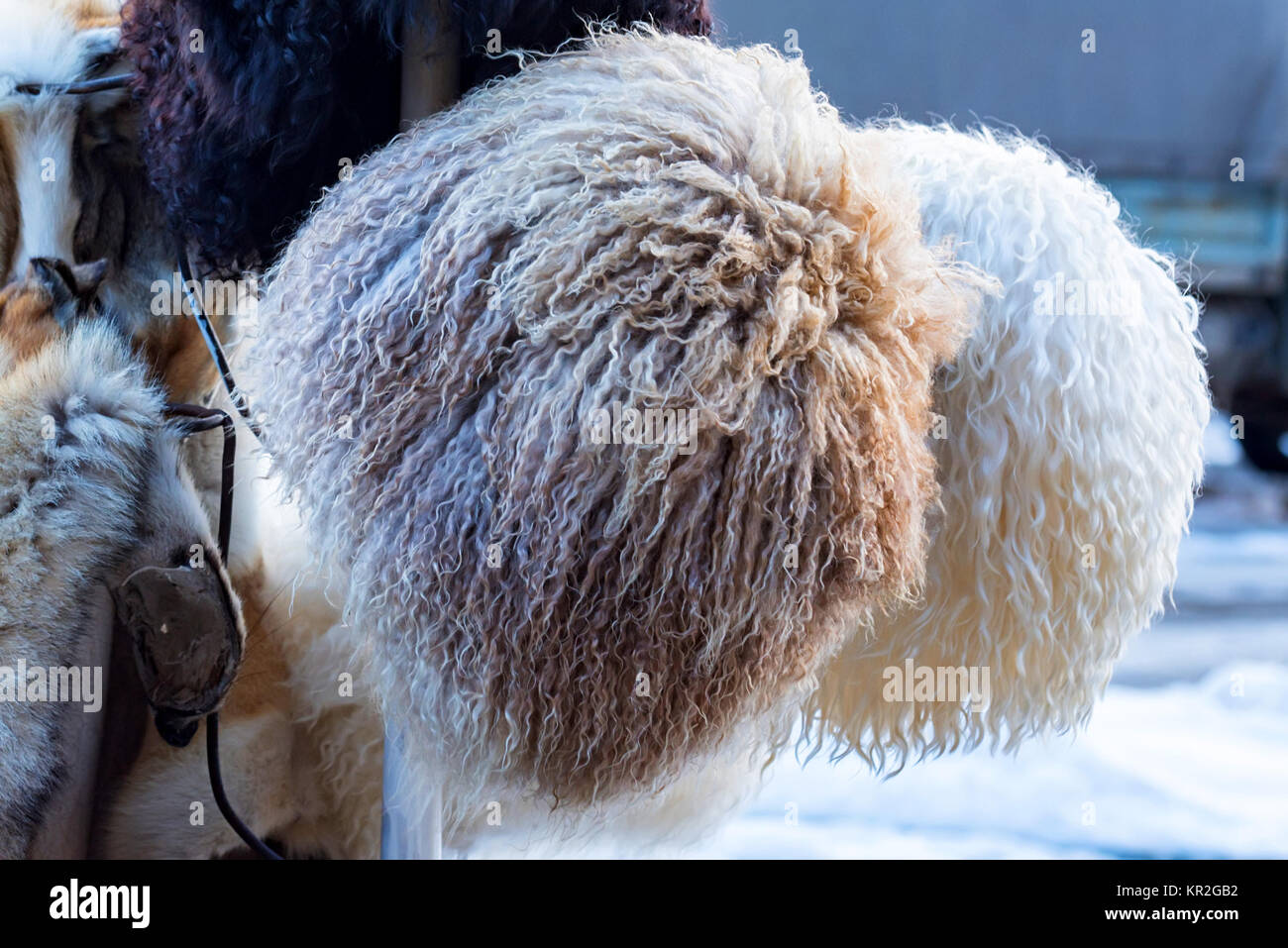 Astrakhan fur hi-res stock photography and images - Alamy