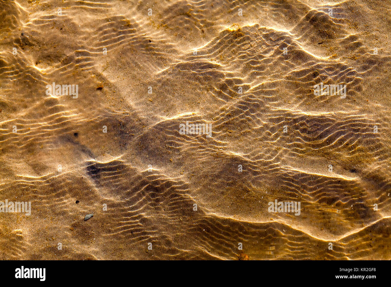Irregular natural background of shore waters over yellow sand Stock Photo