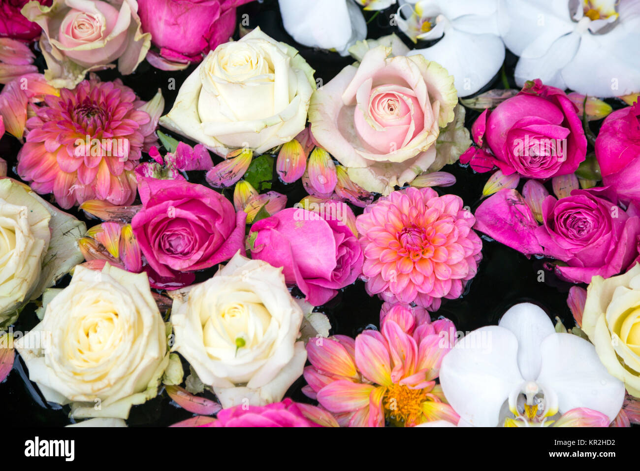Floral background in pink and white Stock Photo