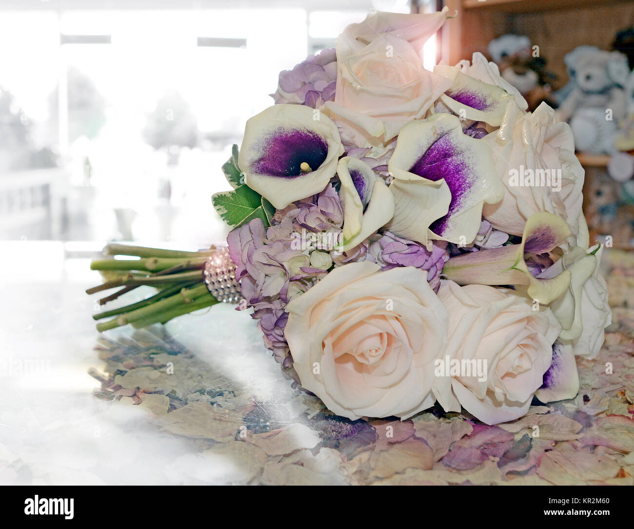 Photo of white and purple bridal bouquet. Purple-throated calla lilies, lavender hydrangea, roses and variegated pittosporum. Dramatic! Stock Photo