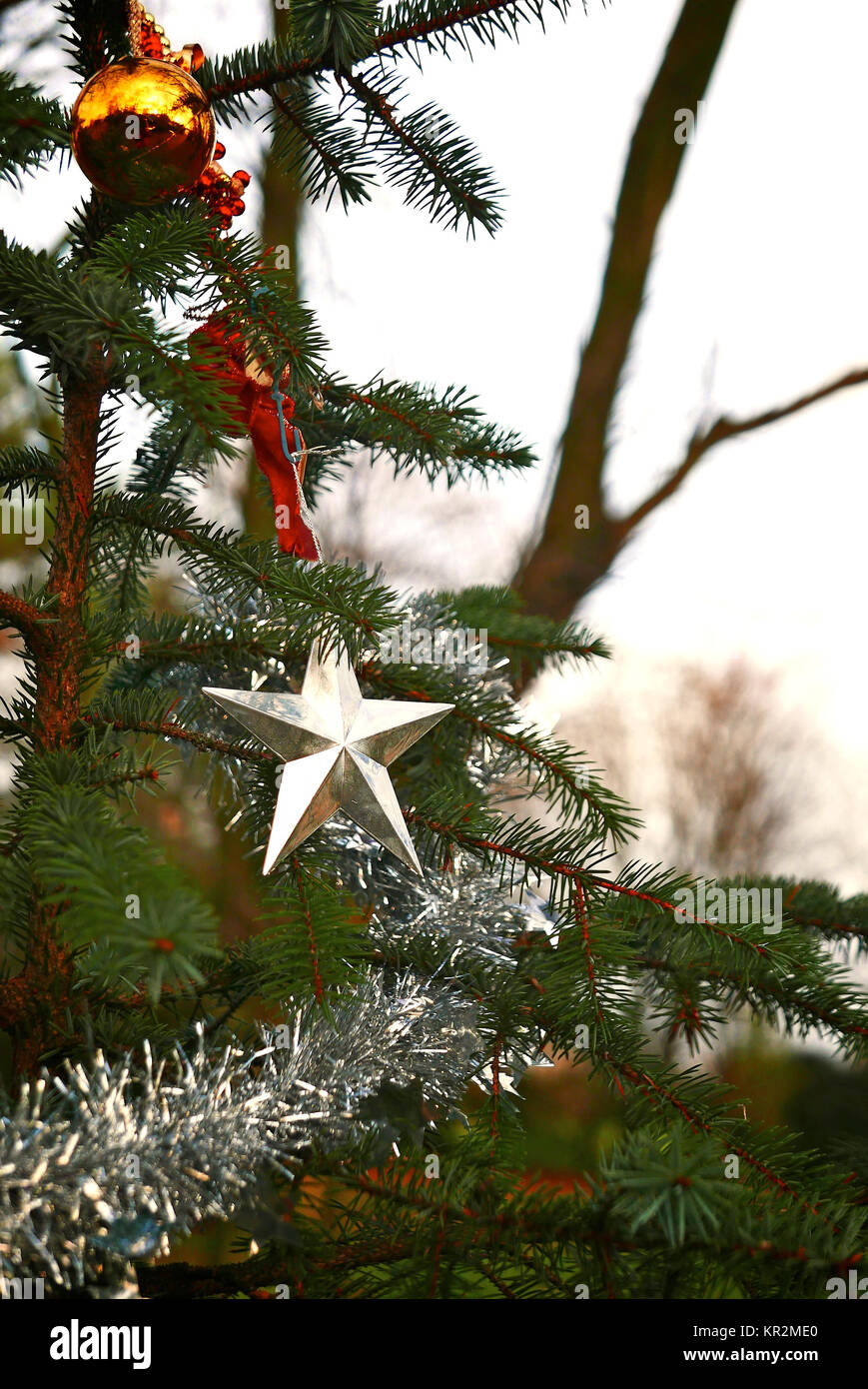 Silver star and tinsel on christmas tree in forest Stock Photo - Alamy