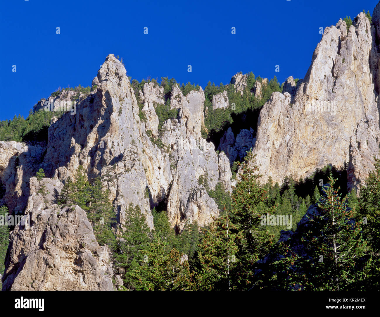 limestone spires in beaver creek canyon of helena national forest near