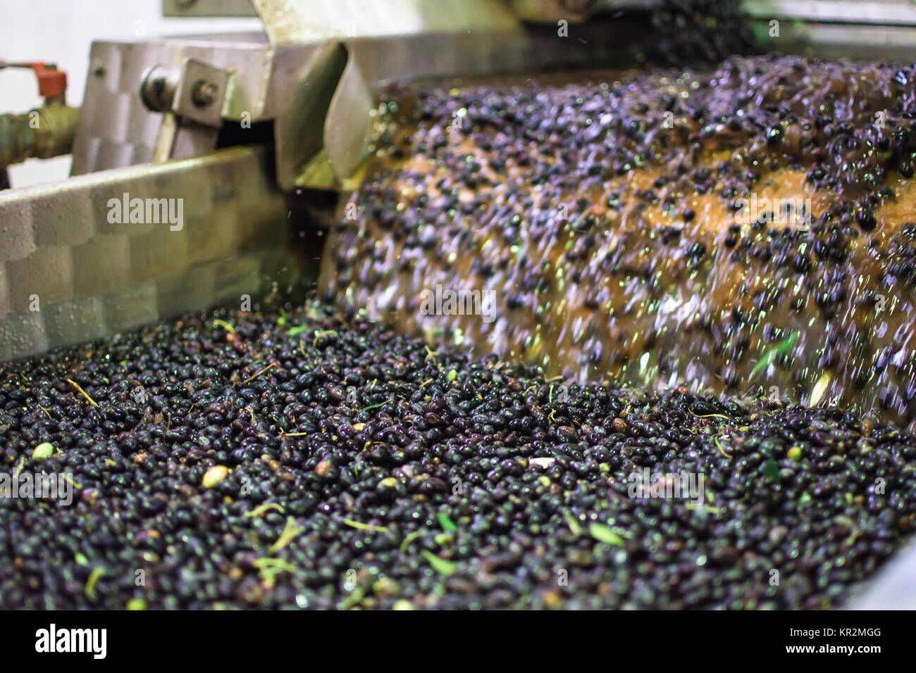 Olive oil factory hires stock photography and images Alamy