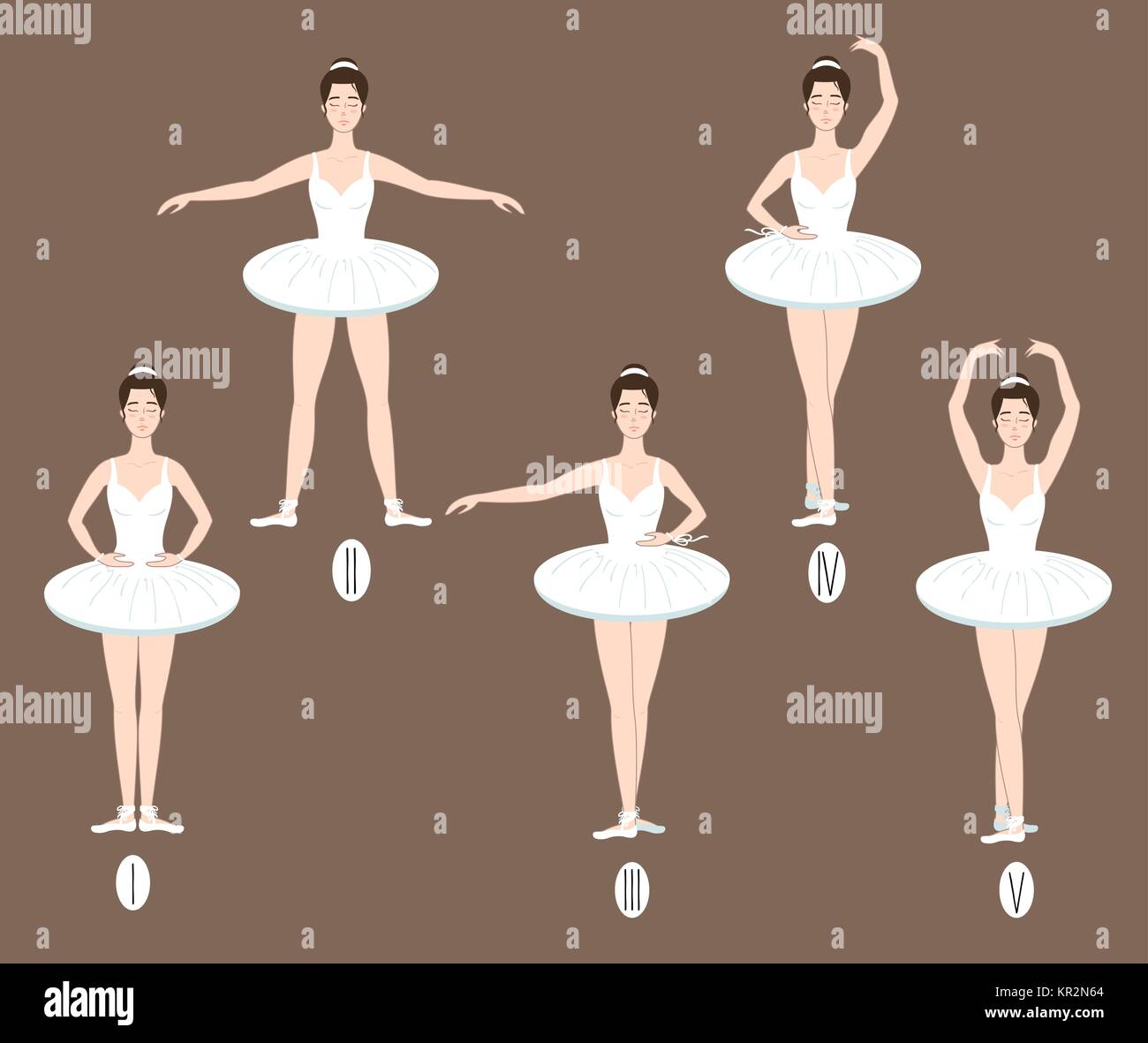 Young dancer shows how to perform the five basic ballet positions,  demonstrating the correct placement of arms, legs and feet and wearing tutu  ruffle Stock Vector Image & Art - Alamy