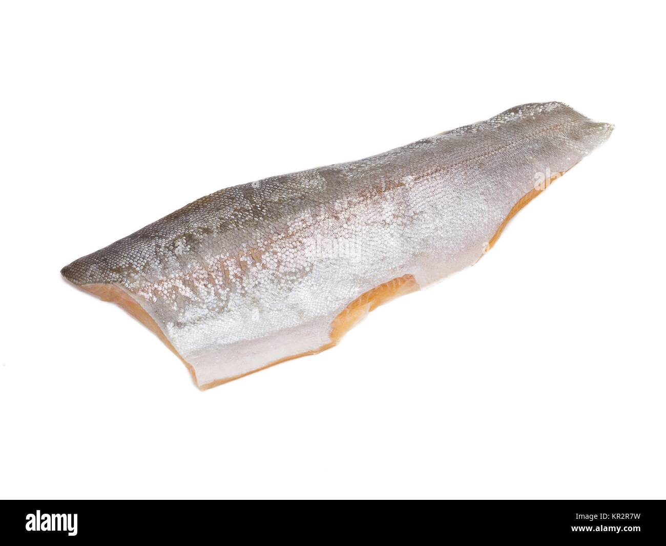 Rainbow Trout Skin Stock Photo Alamy