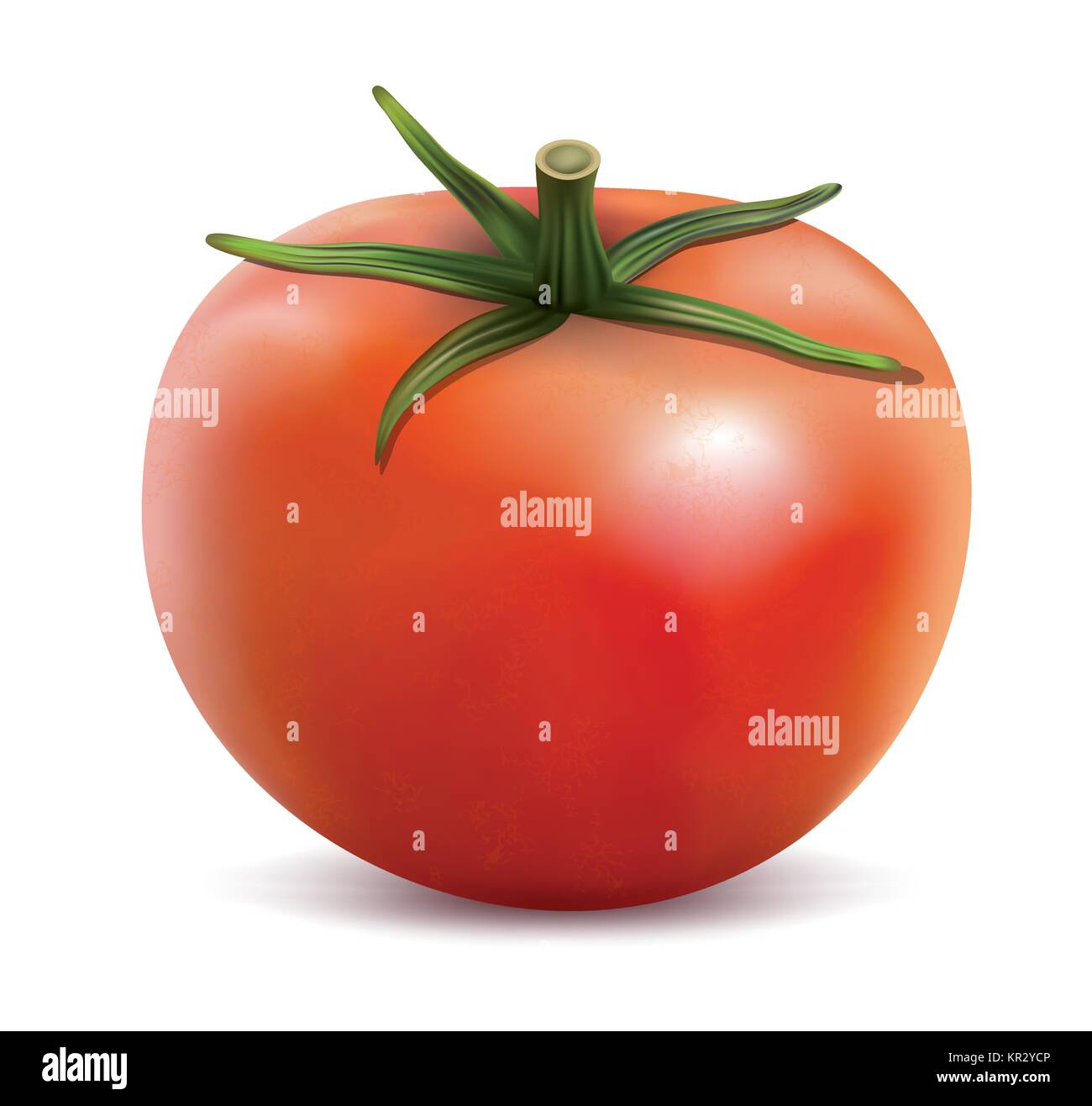 tomato isolated on the white background Stock Vector Image & Art - Alamy