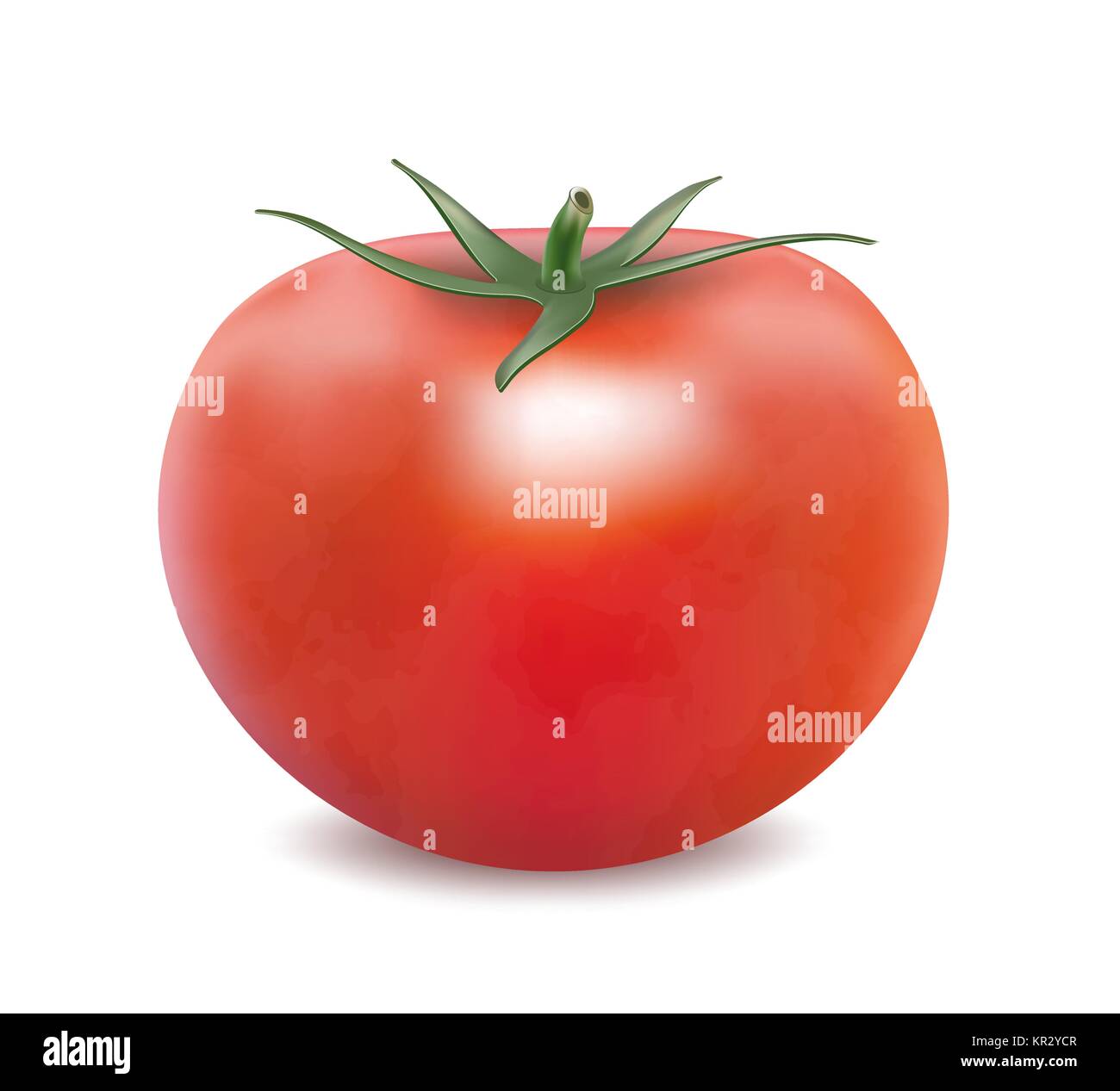 tomato isolated on the white background Stock Vector Image & Art - Alamy