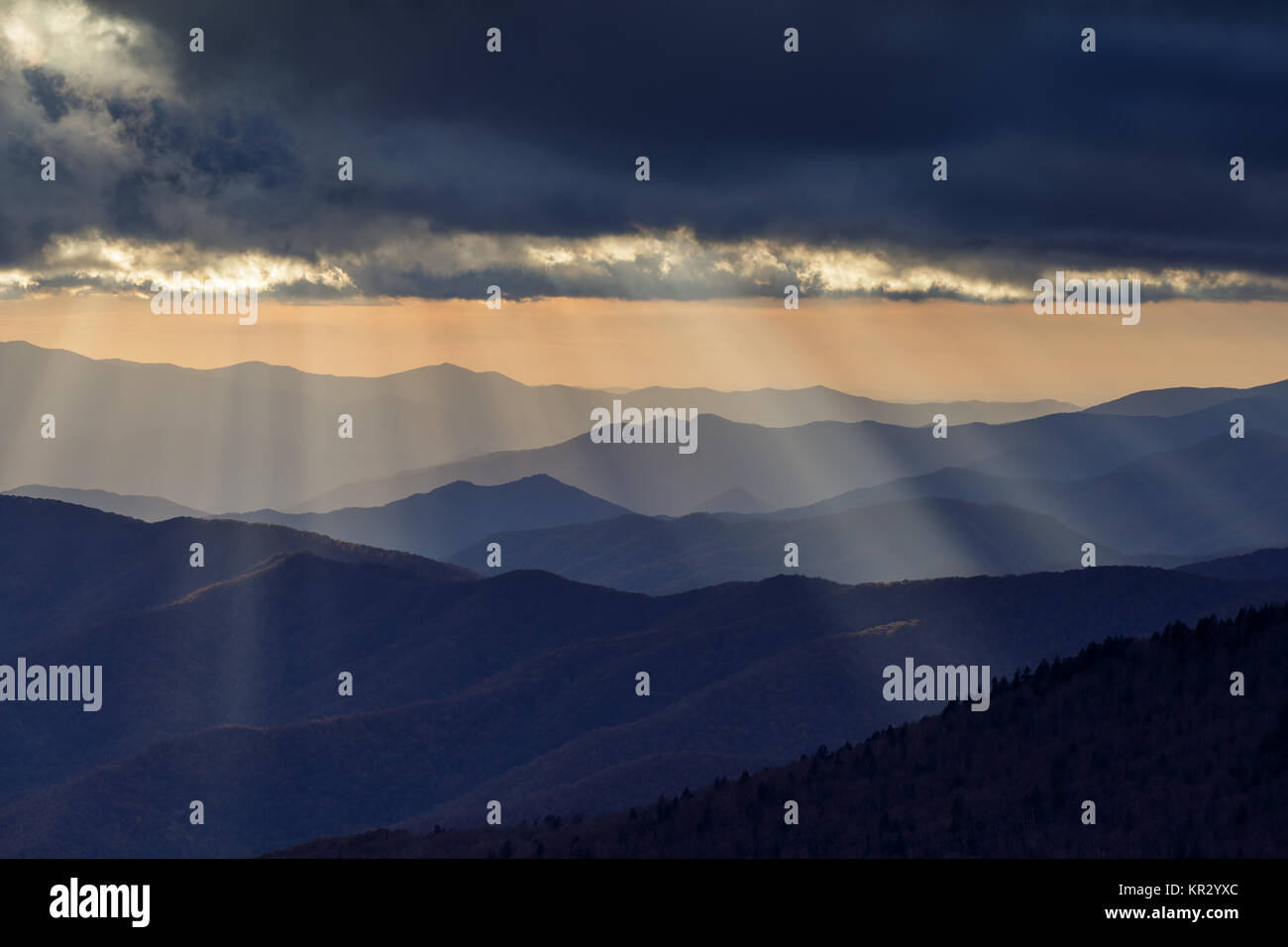 Clingmans Dome is the highest point in the Great Smoky Mountain
