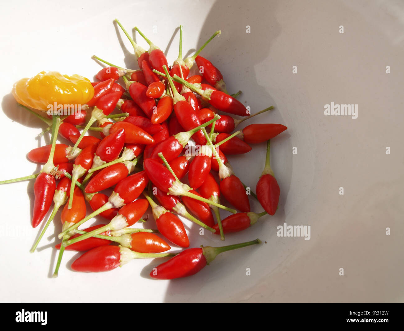 Grow Jalapenos High Resolution Stock Photography and Images - Alamy
