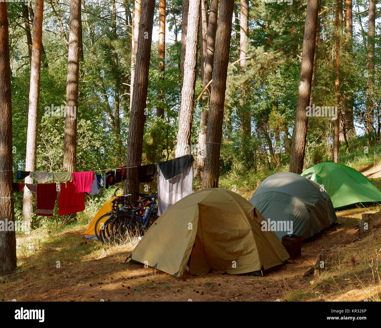 summer holidays in tents, tourist tents in the forest near a lake Stock ...