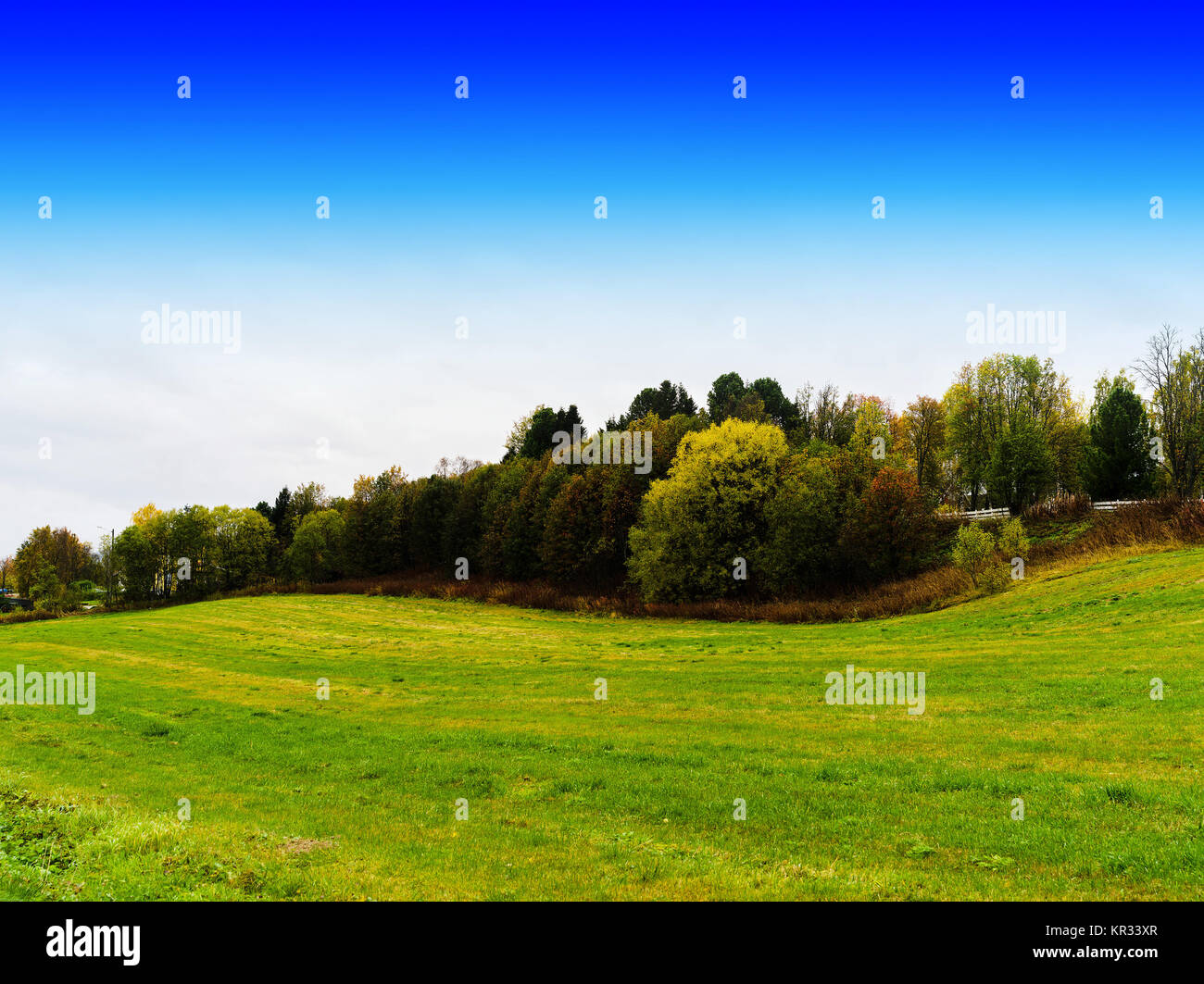 Horizontal danish field hills with blue sky background backdrop Stock ...