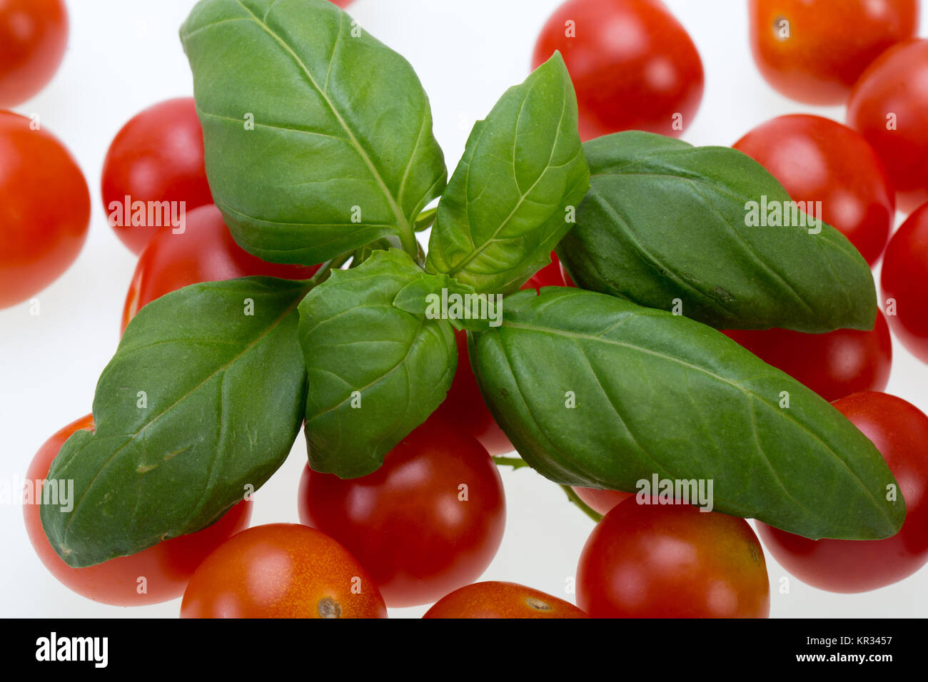fresh cherry tomatoes with basil, on white background Stock Photo - Alamy