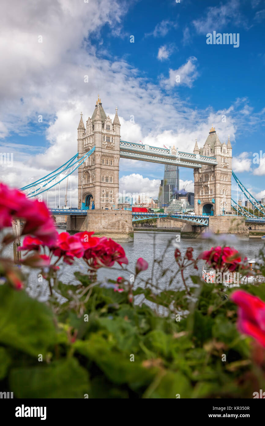 Tower Bridge with flowers in London, England, UK Stock Photo Alamy