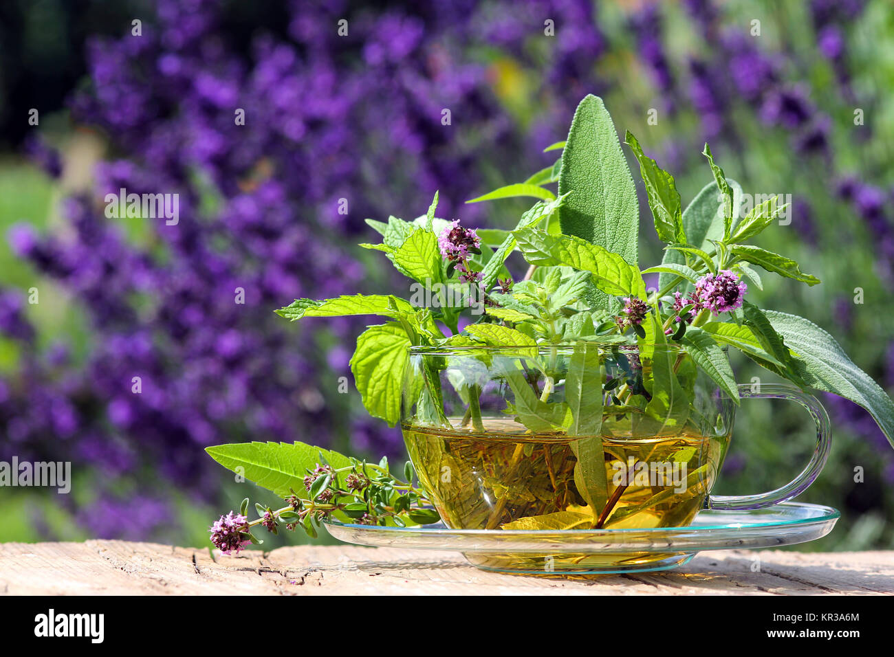 fresh herbal tea from the garden Stock Photo Alamy