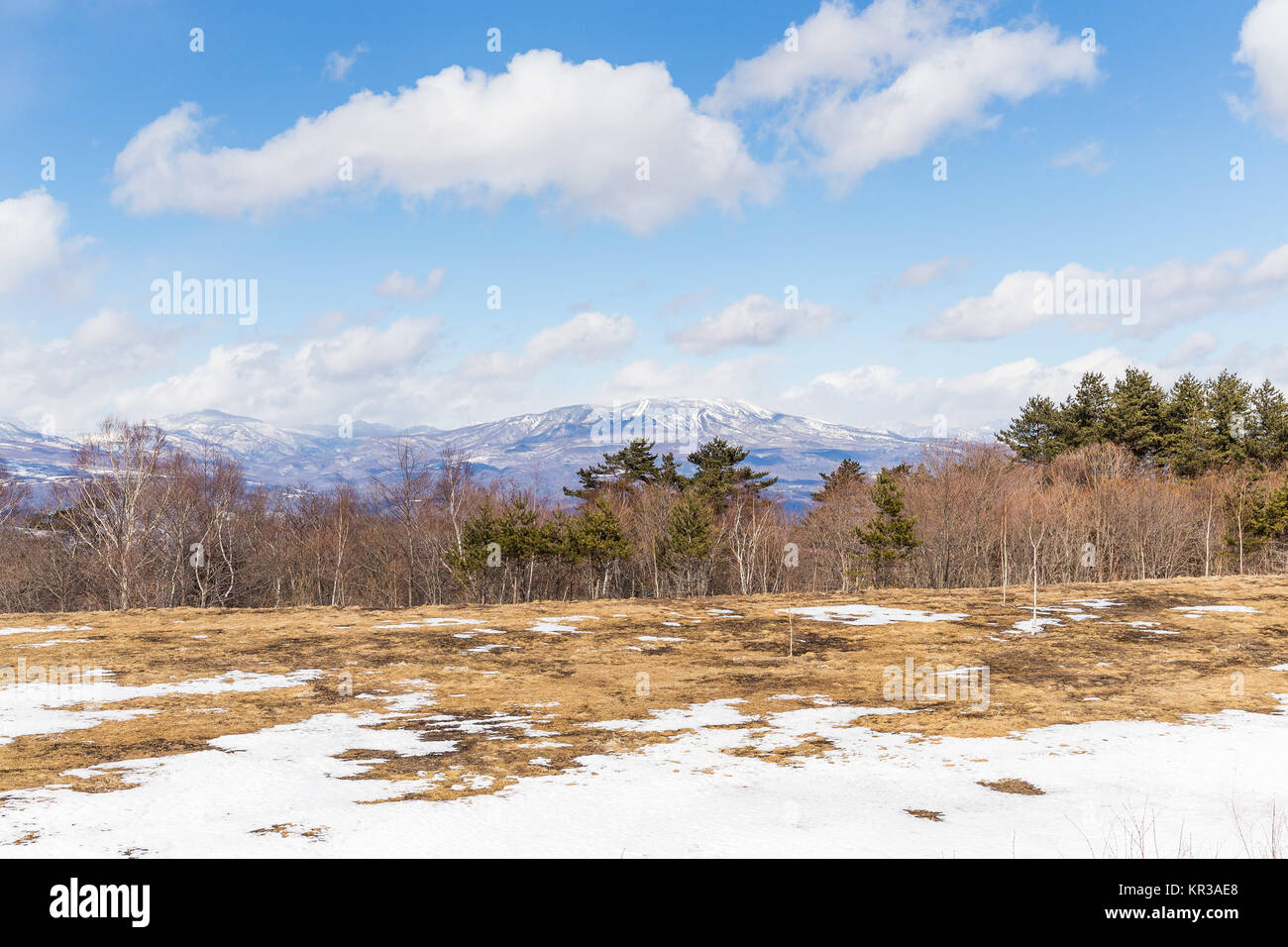 Winter landscape with blue sky Stock Photo - Alamy