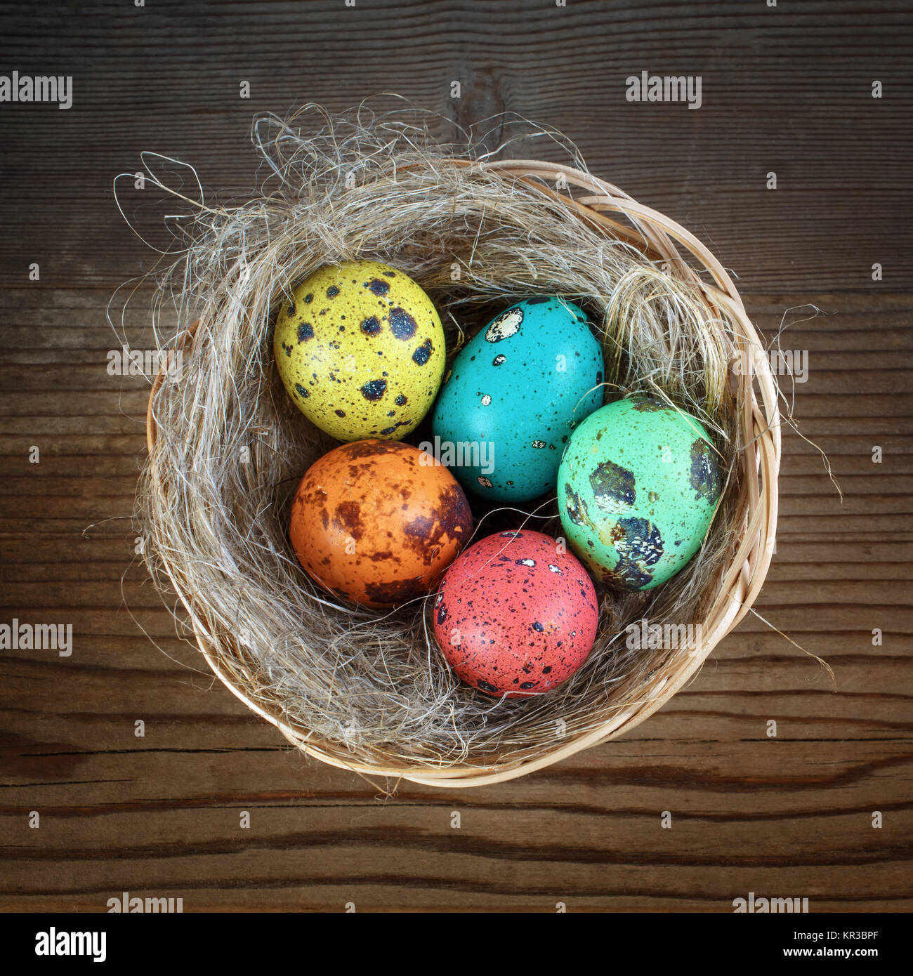Easter eggs and nest Stock Photo Alamy