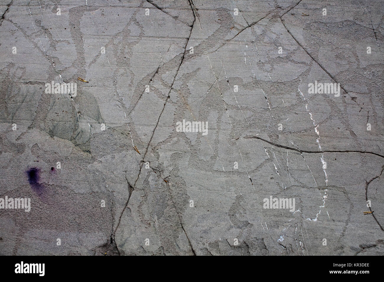 prehistoric rock carving petroglyphs on stone surface closeup Stock Photo