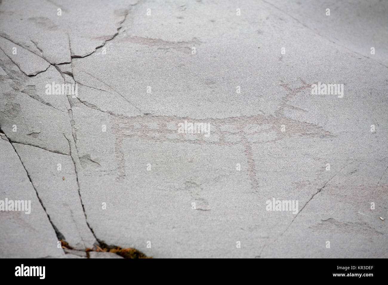 prehistoric rock carving petroglyphs on stone surface closeup, Alta, Norway Stock Photo