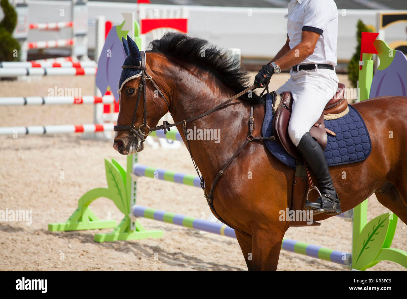 Tall horse rider hi-res stock photography and images - Alamy