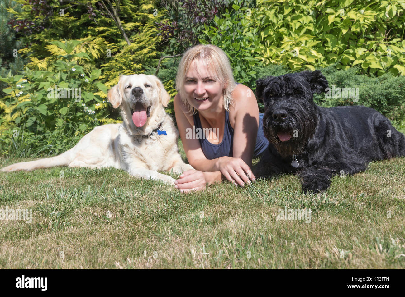 Smiling woman with dogs on the lawn Stock Photo - Alamy