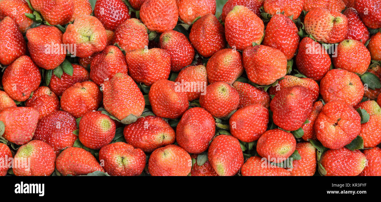 Fresh ripe strawberry background Stock Photo - Alamy