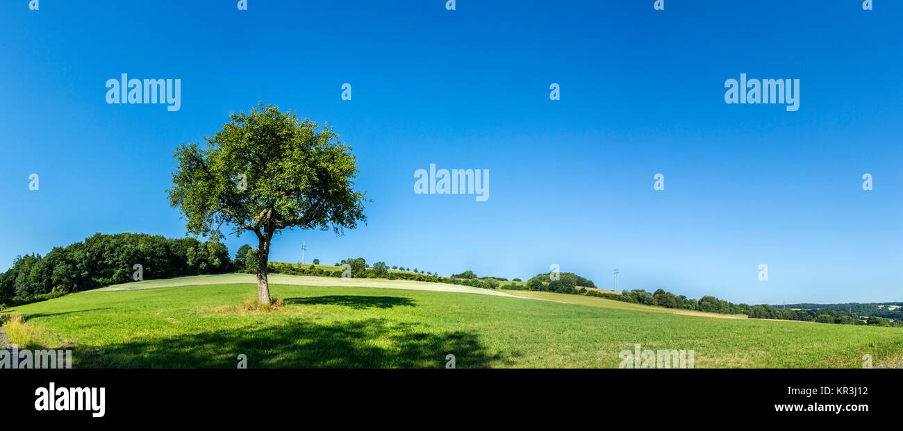 rural landscape with fields and blue sky in Hesse Stock Photo - Alamy