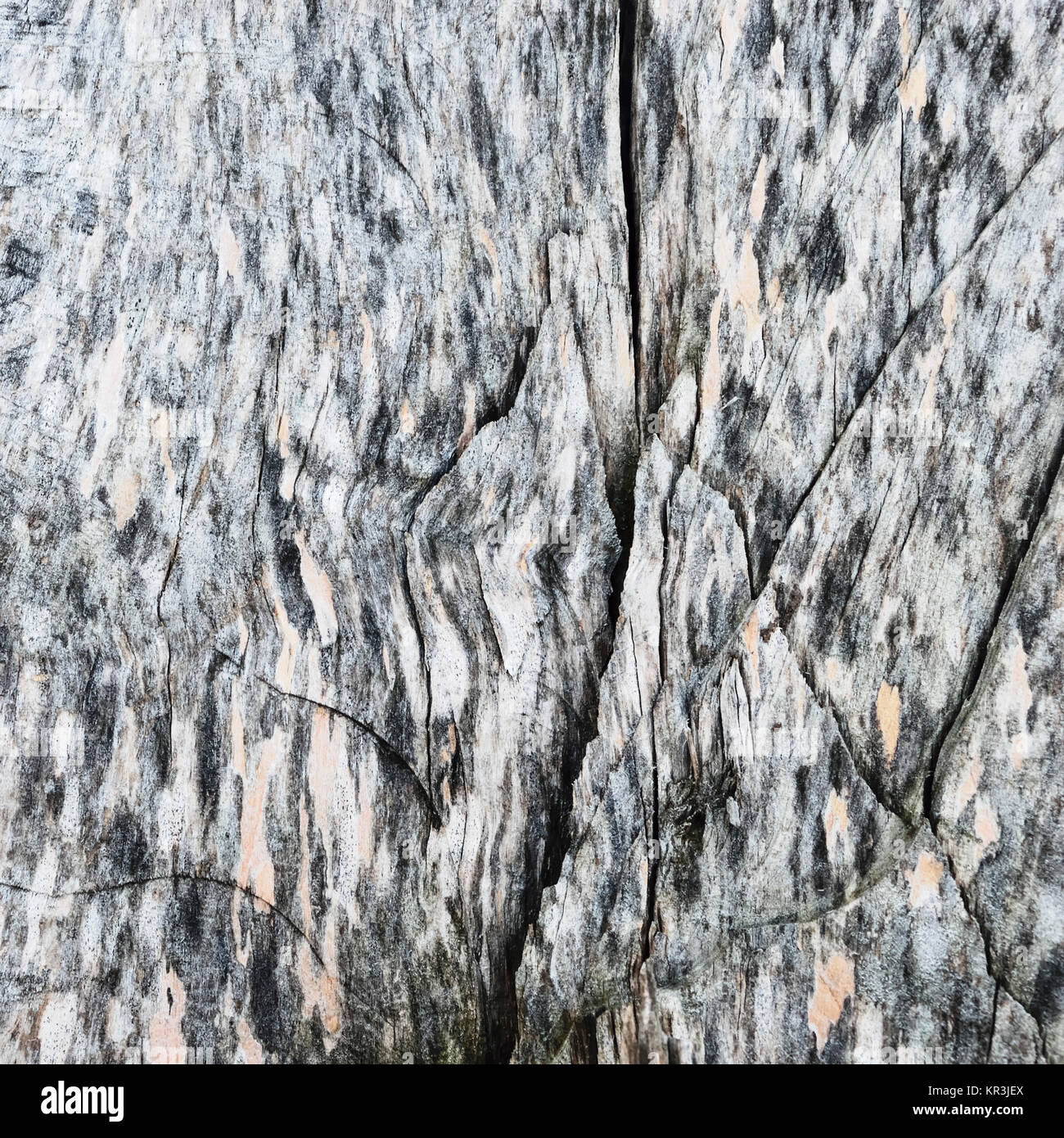 structure of wood with grain Stock Photo