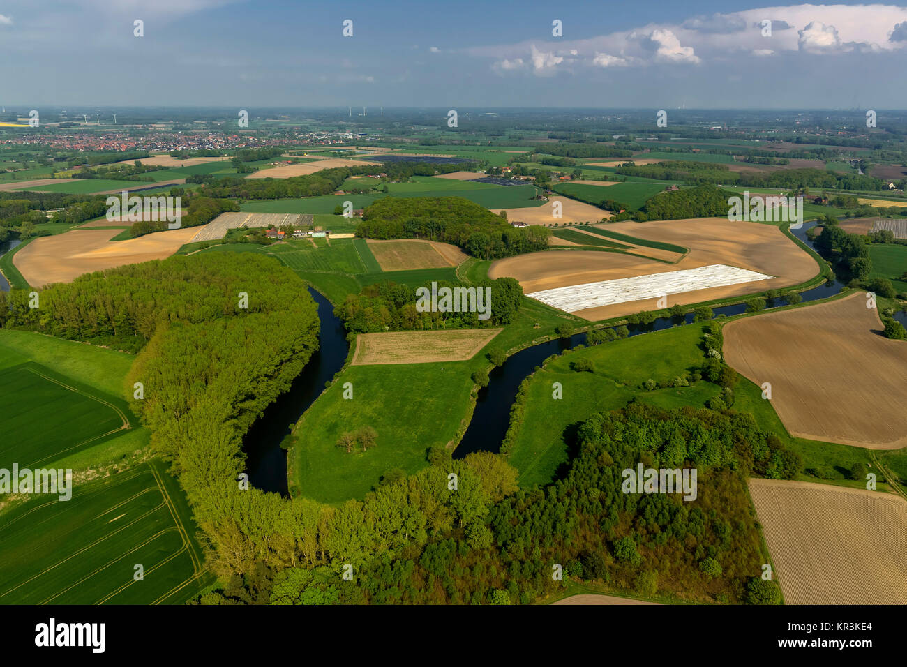 Olfen, Lippe, meander, Lippe meander, meandering river, nature reserve, Lippeauen, Lippe course, Münsterland, Datteln, North Rhine-Westphalia, Germany Stock Photo