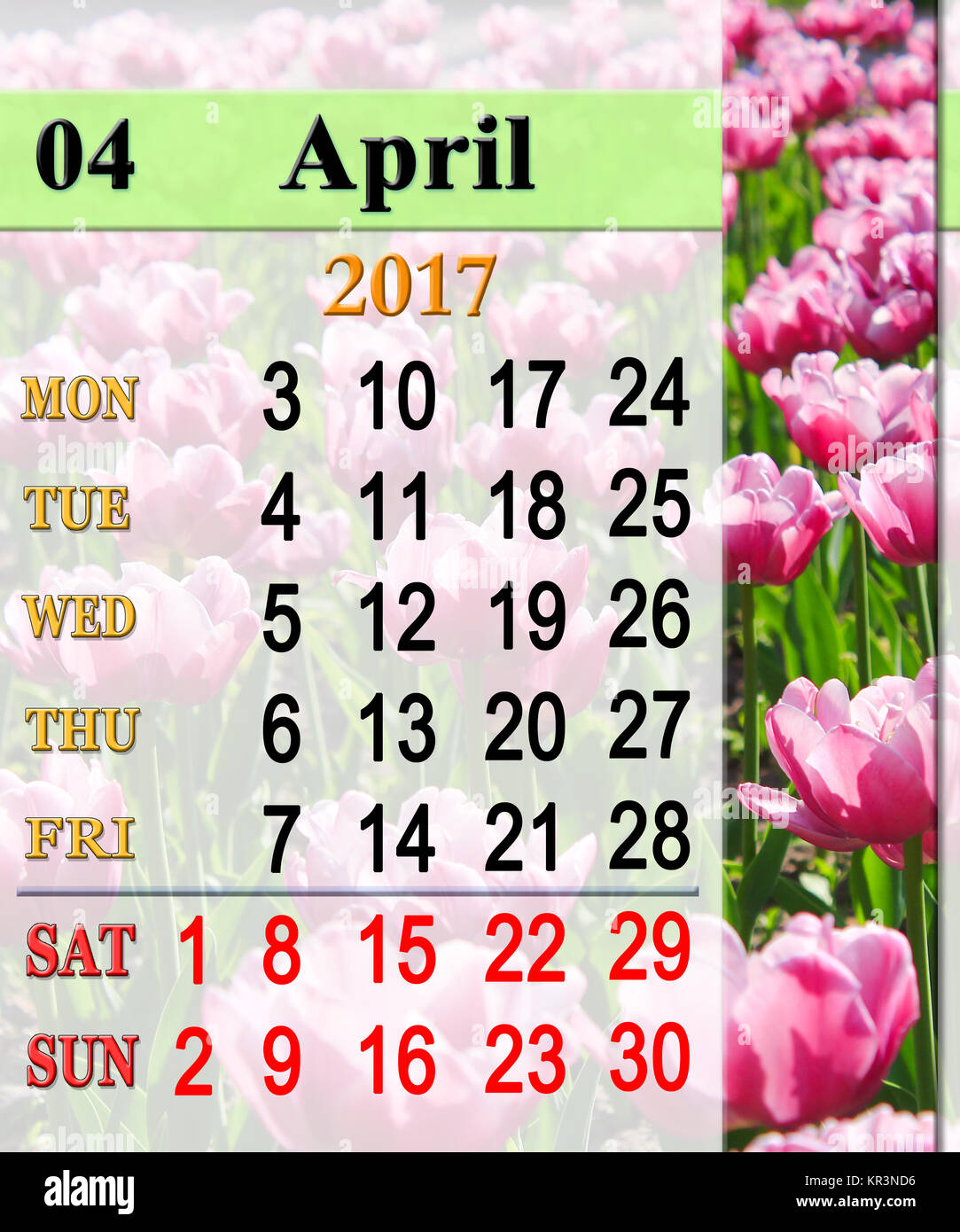 calendar for April 2017 with lilac tulips Stock Photo - Alamy