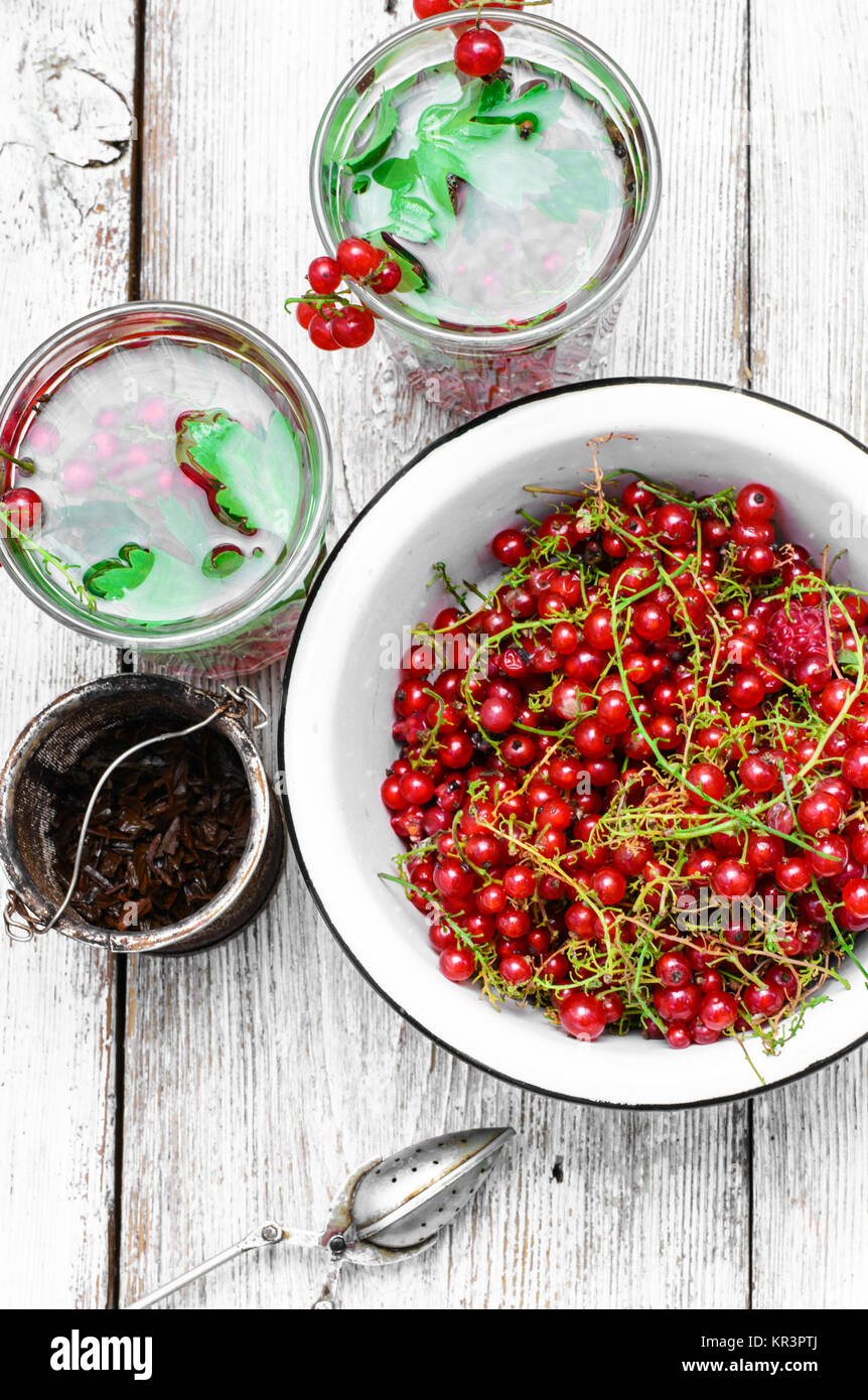 Red Currant Tea Summer tea with berries of red currant in glass Stock Photo - Alamy