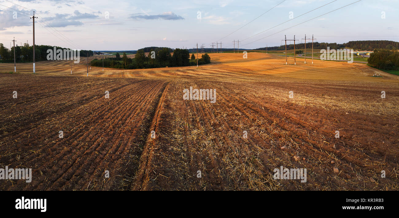 Field after harvest Stock Photo - Alamy