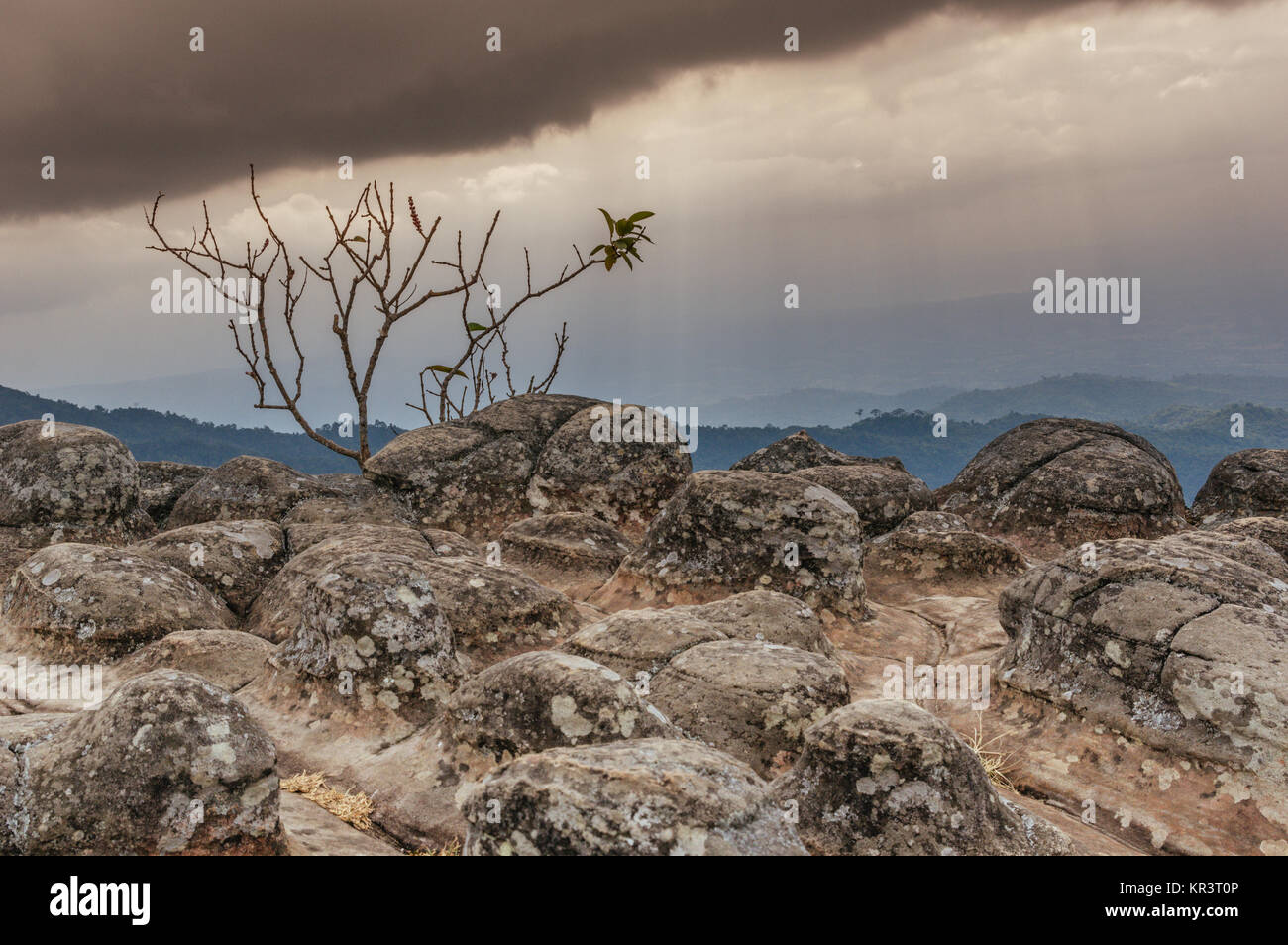 dark and ominous clouds sweeping across the plains seen from the top of a mountain in Phu Ruea national park, Thailand Stock Photo