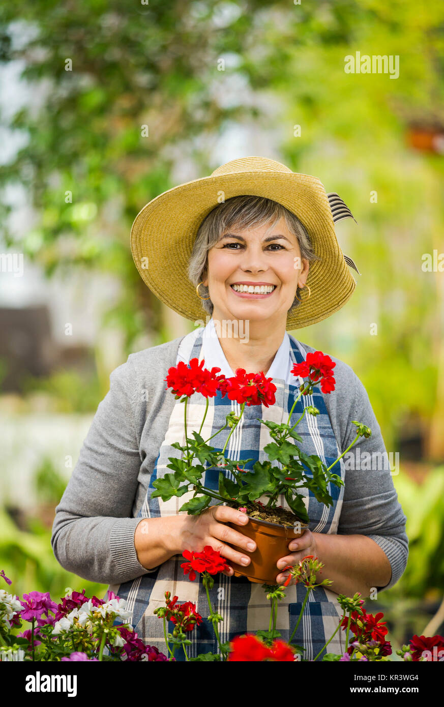 Working in a flower shop Stock Photo - Alamy