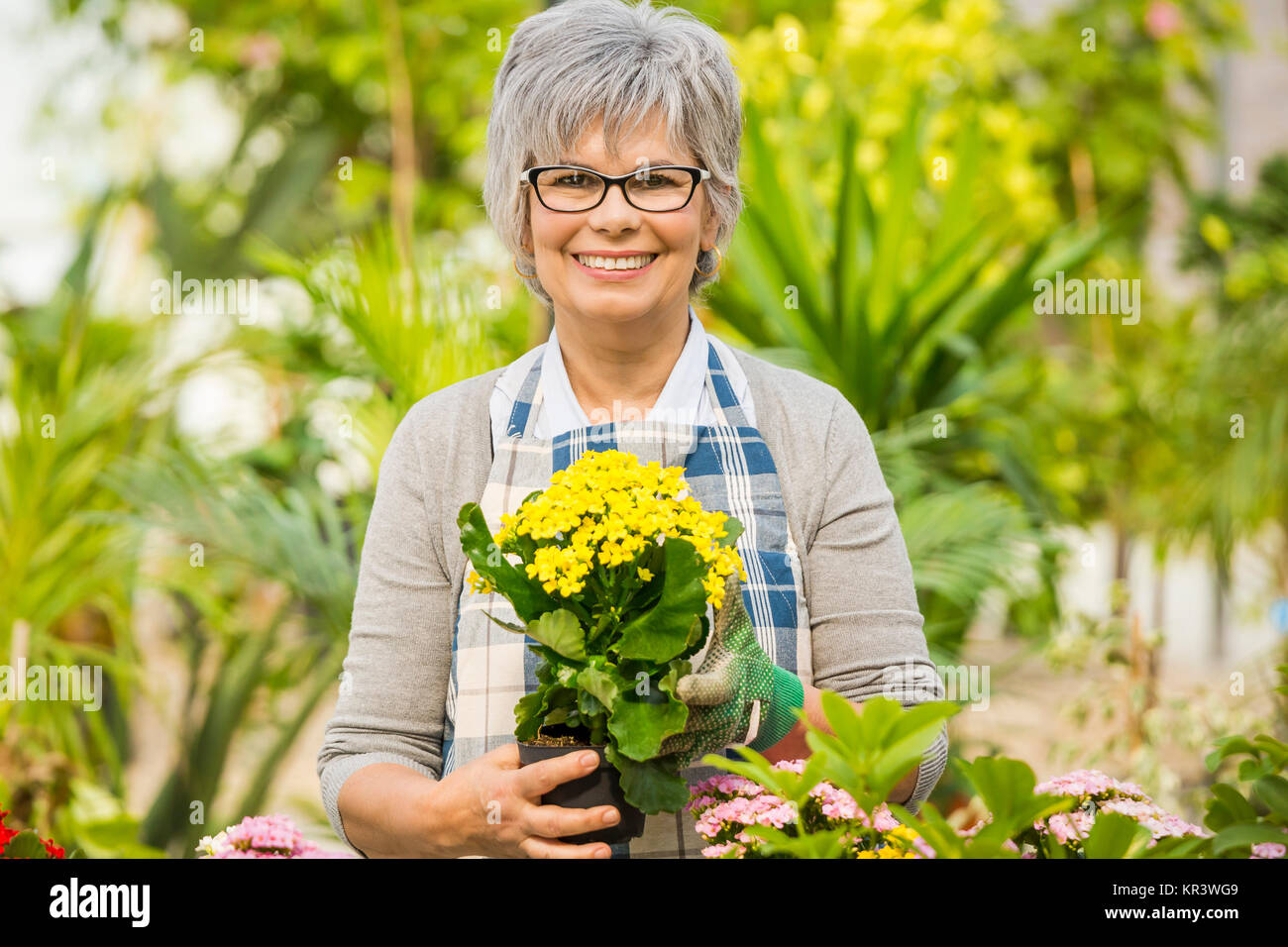 Working in a flower shop Stock Photo Alamy