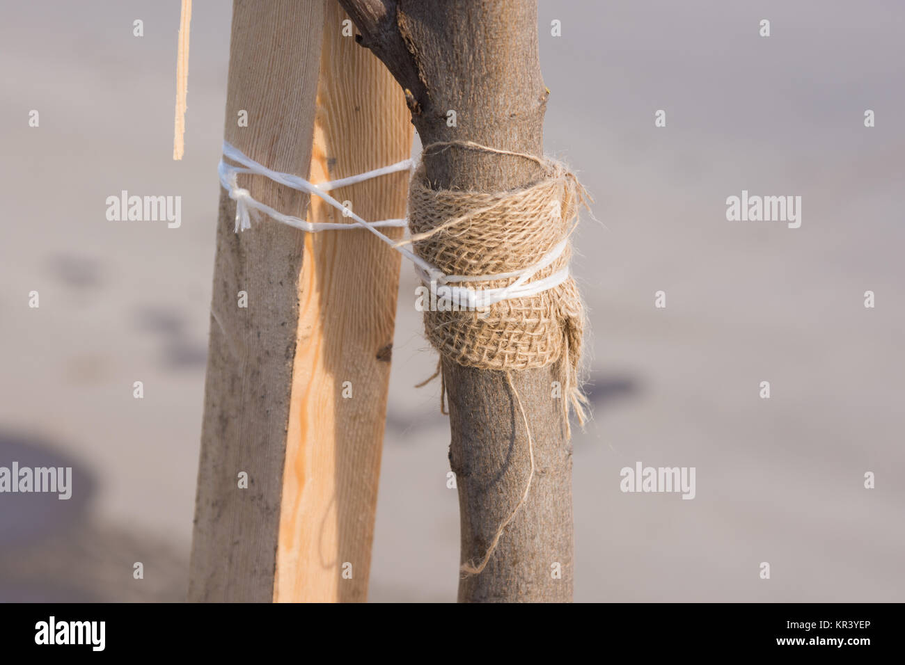 Garter rope hi-res stock photography and images - Alamy