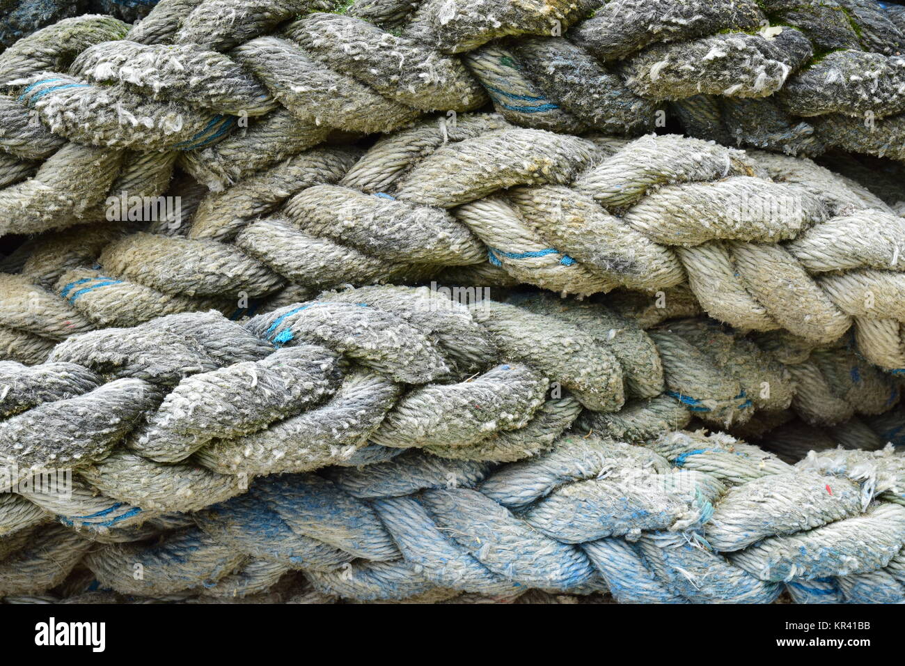 braided tauwek Stock Photo