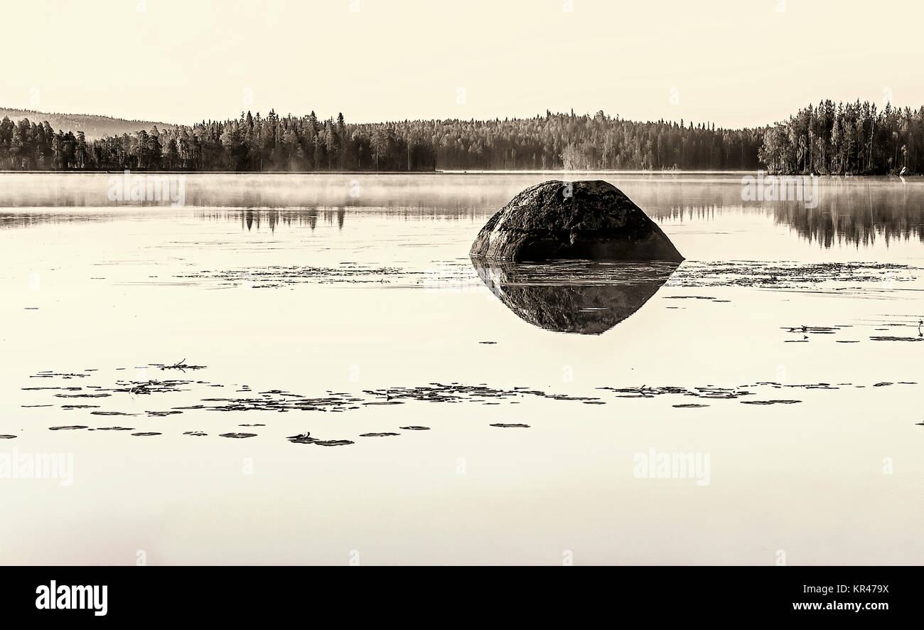 Karelian landscape with a lake in sepia Stock Photo