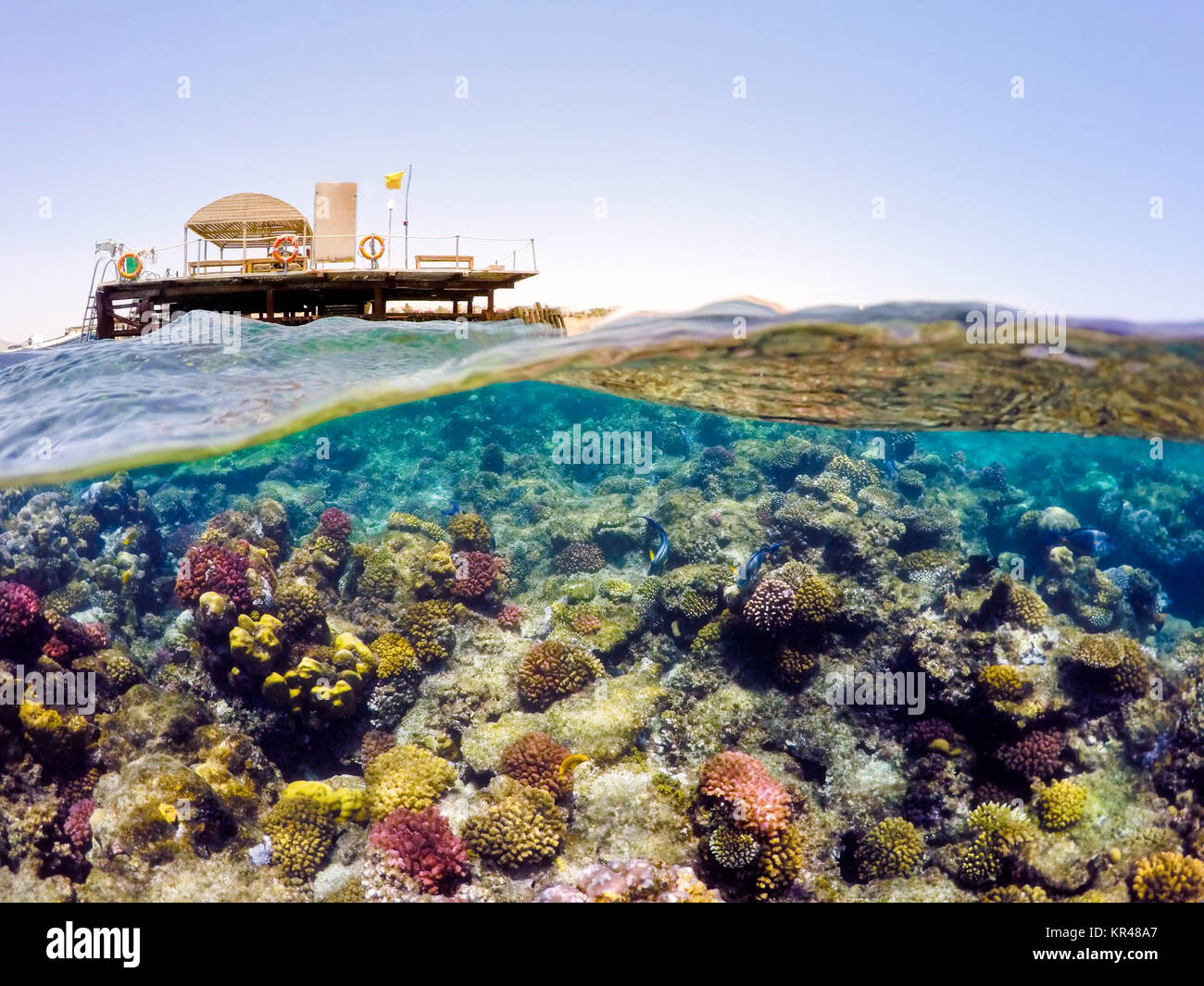 Underwater and surface split view in the tropics sea Stock Photo