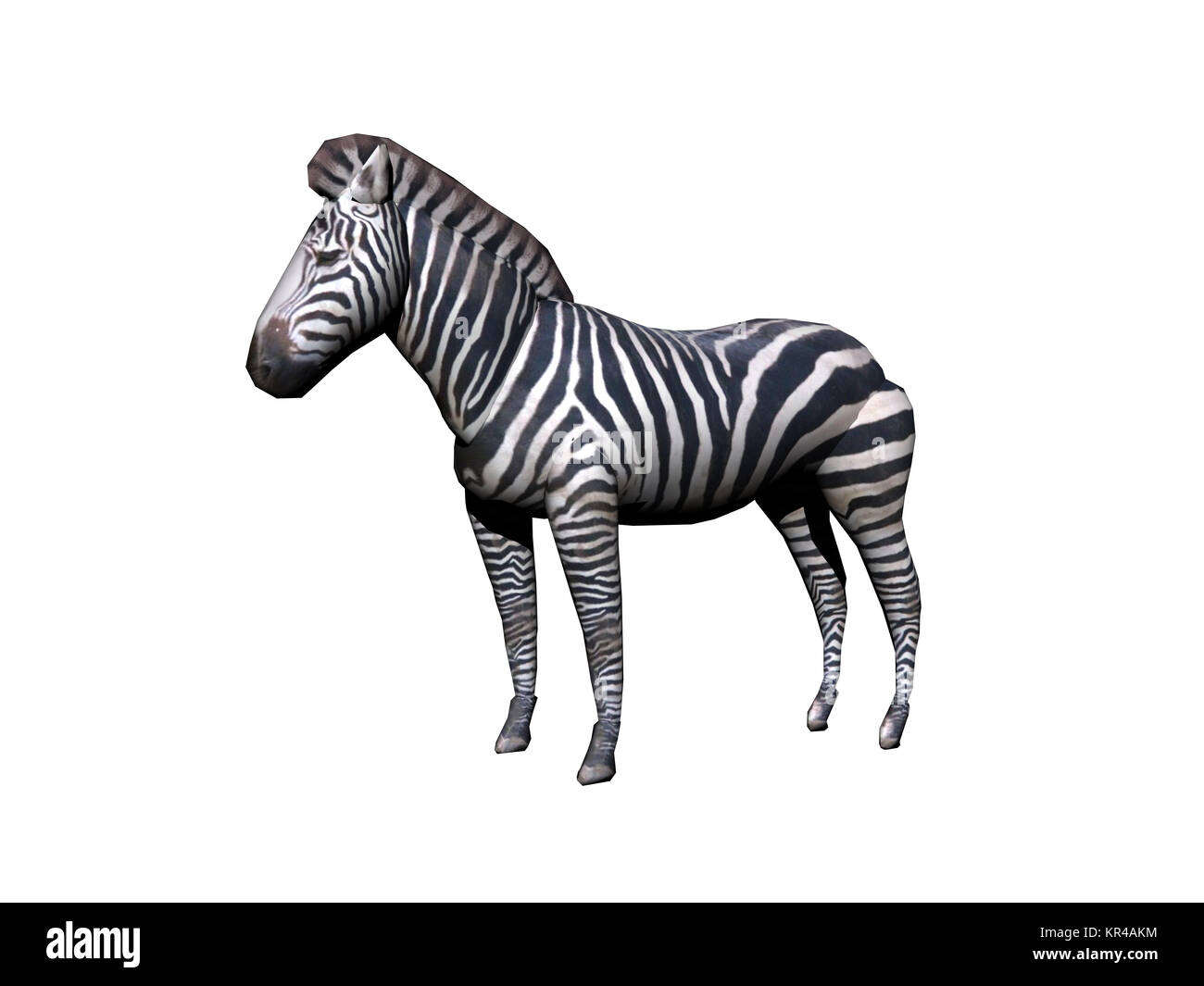 Horse zebra crossing Cut Out Stock Images & Pictures Alamy