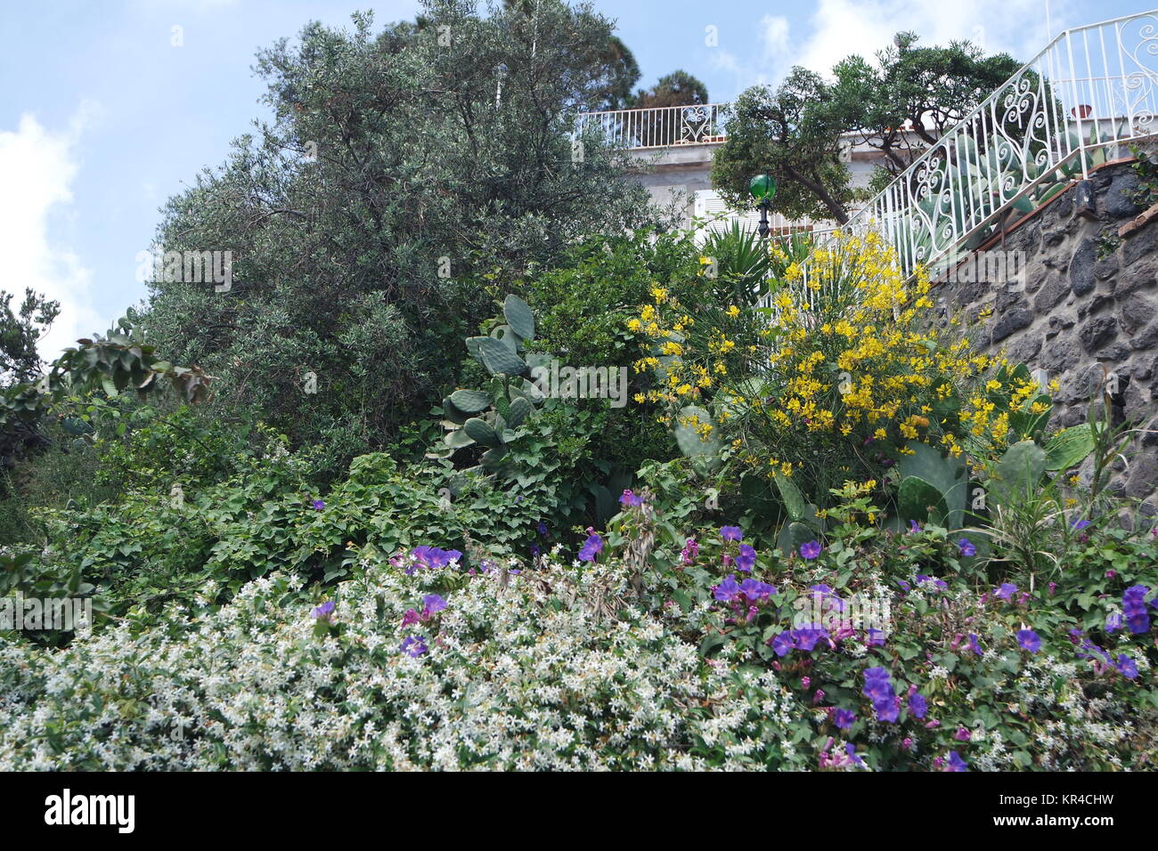 Mediterraner Garten Ischia Stock Photo 169128117 Alamy
