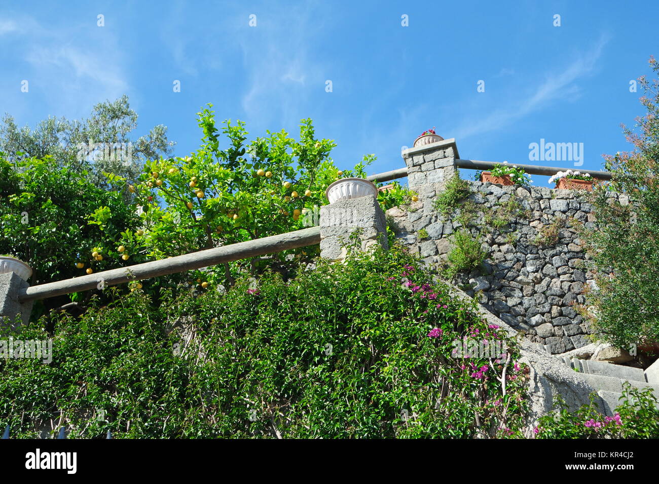Mediterraner Garten Ischia Stock Photo 169128122 Alamy