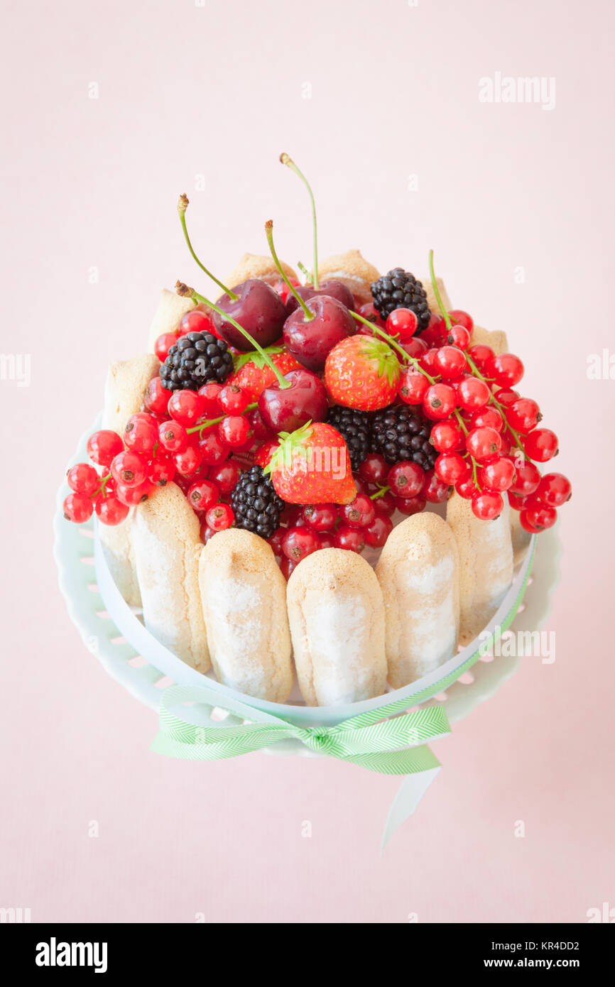 Charlotte mit Loeffelbiskuits und roten Fruechten Stock Photo - Alamy