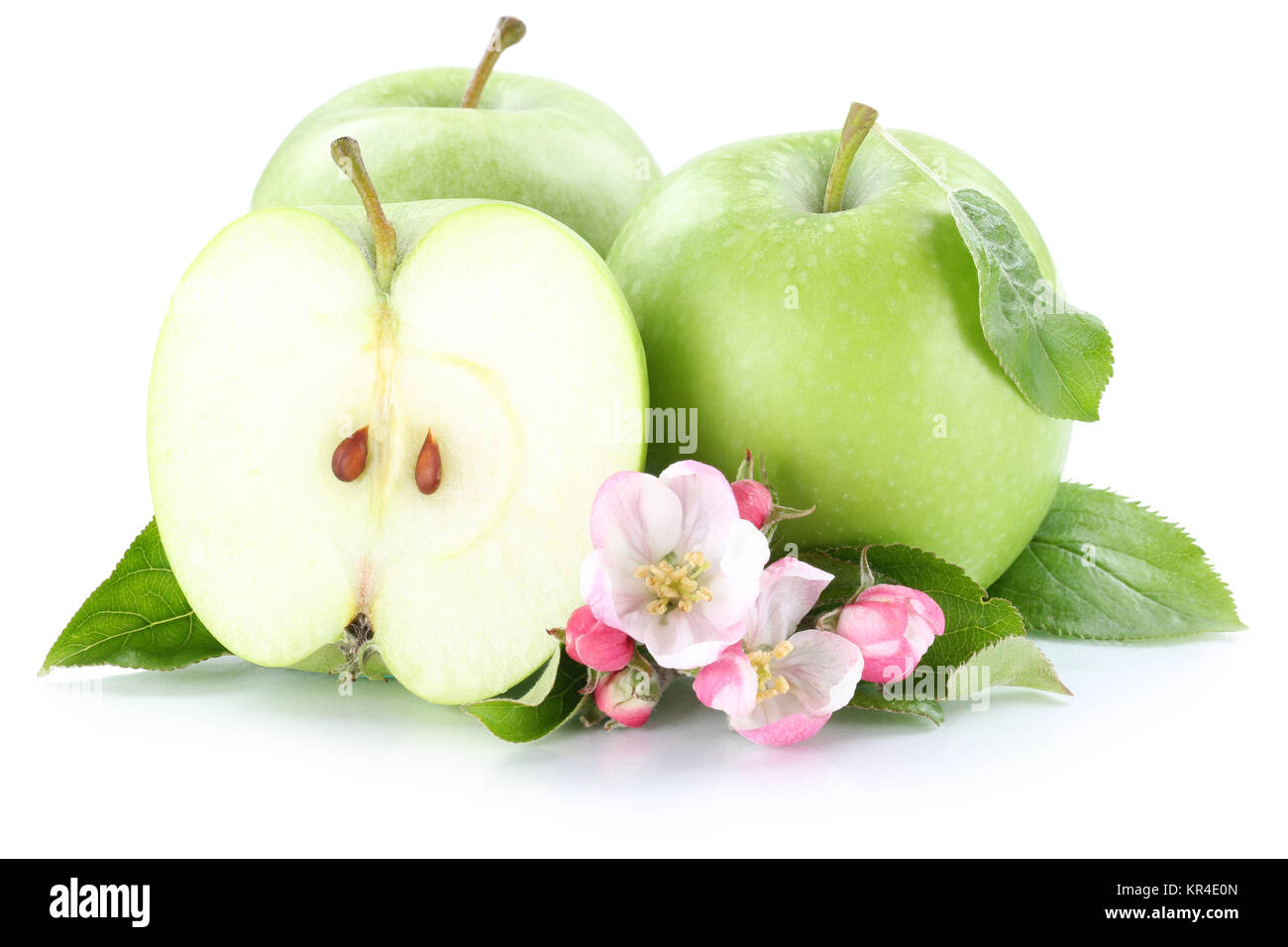 Apfel Äpfel Frucht frische Früchte Obst grün Freisteller freigestellt isoliert vor einem weissen Hintergrund Stock Photo