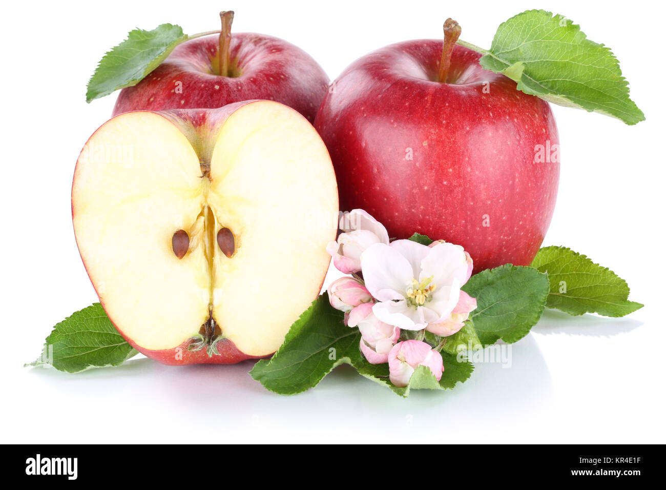 Apfel Äpfel rot Frucht frische Früchte Obst Freisteller freigestellt isoliert vor einem weissen Hintergrund Stock Photo