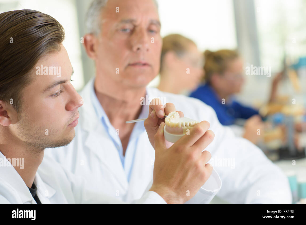 Certified dental technician stock photo alamy