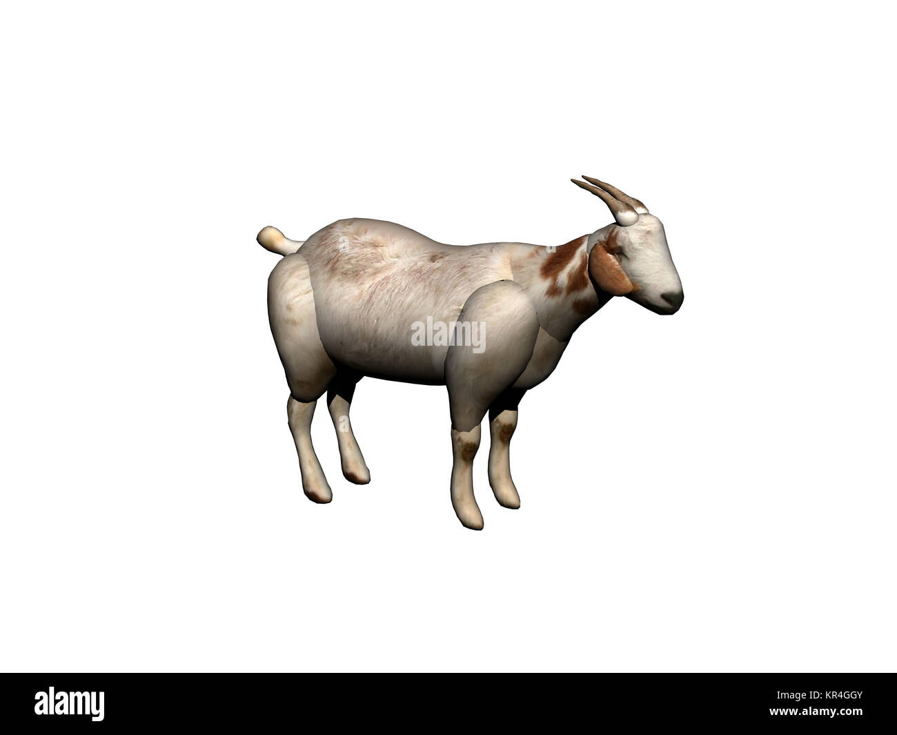 Goat exempted Stock Photo