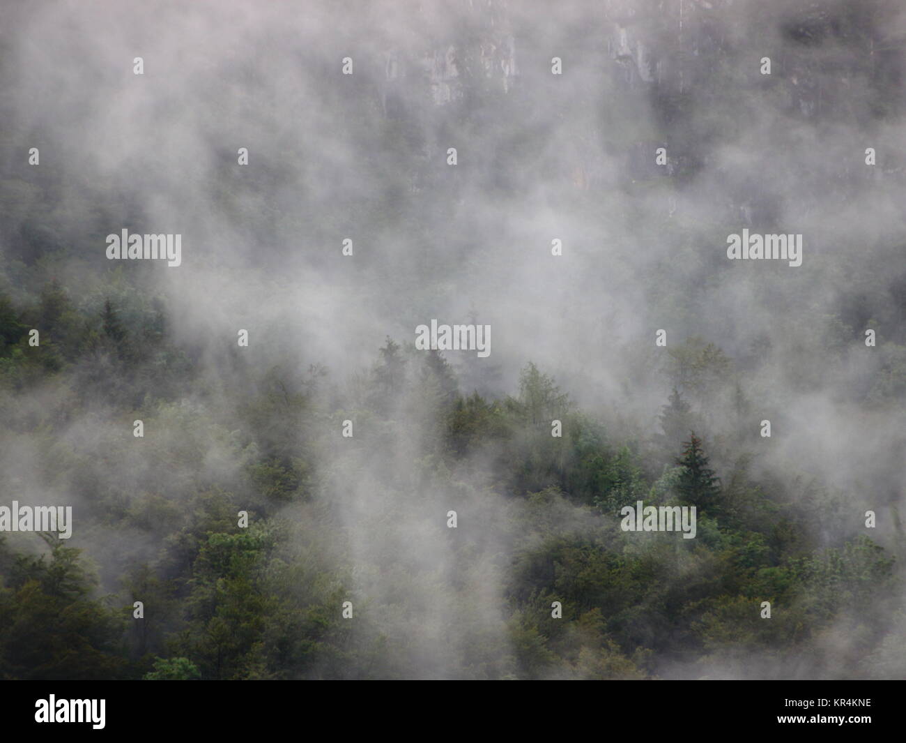 Lost in thick fog hi-res stock photography and images - Alamy