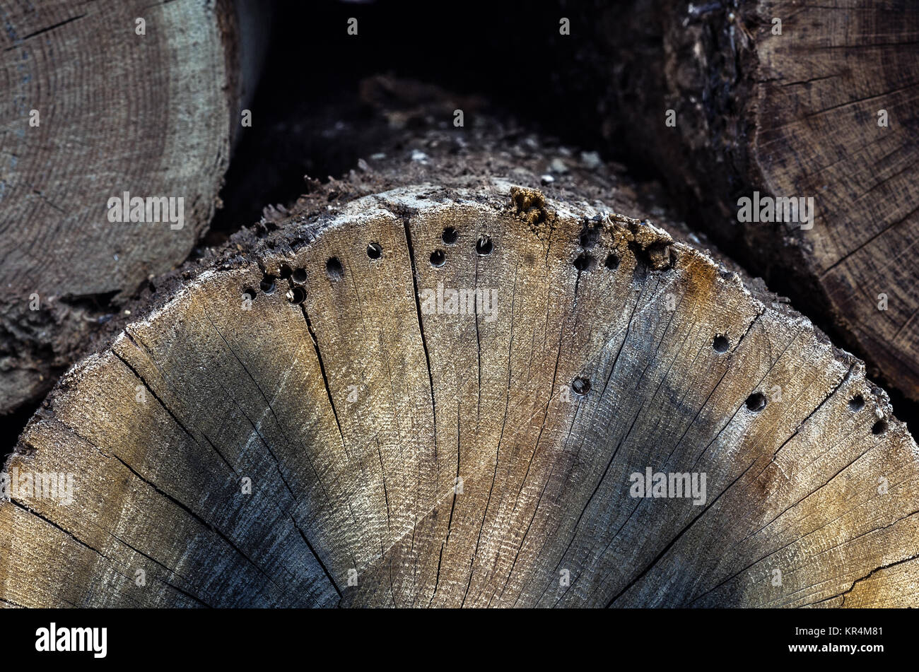 Worm Holes Stock Photos & Worm Holes Stock Images Alamy