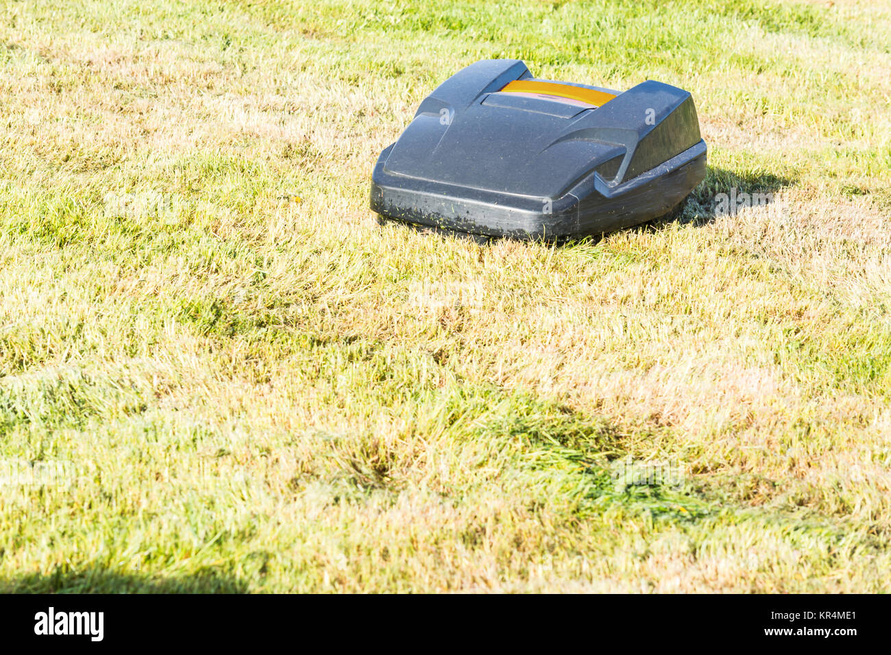 Rasenmäher Roboter, Automatische Rasenmäher mäht Gras in einem Garten. Stock Photo